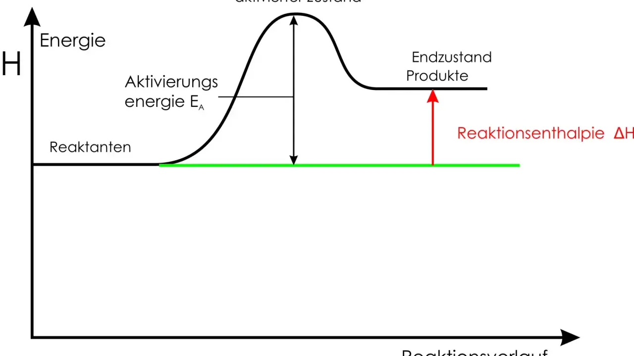 Energieprofil einer endothermen Reaktion: Reakanten steigen über Aktivierungsenergie zum aktivierten Zustand, dann zu Produkten mit höherer Energie.