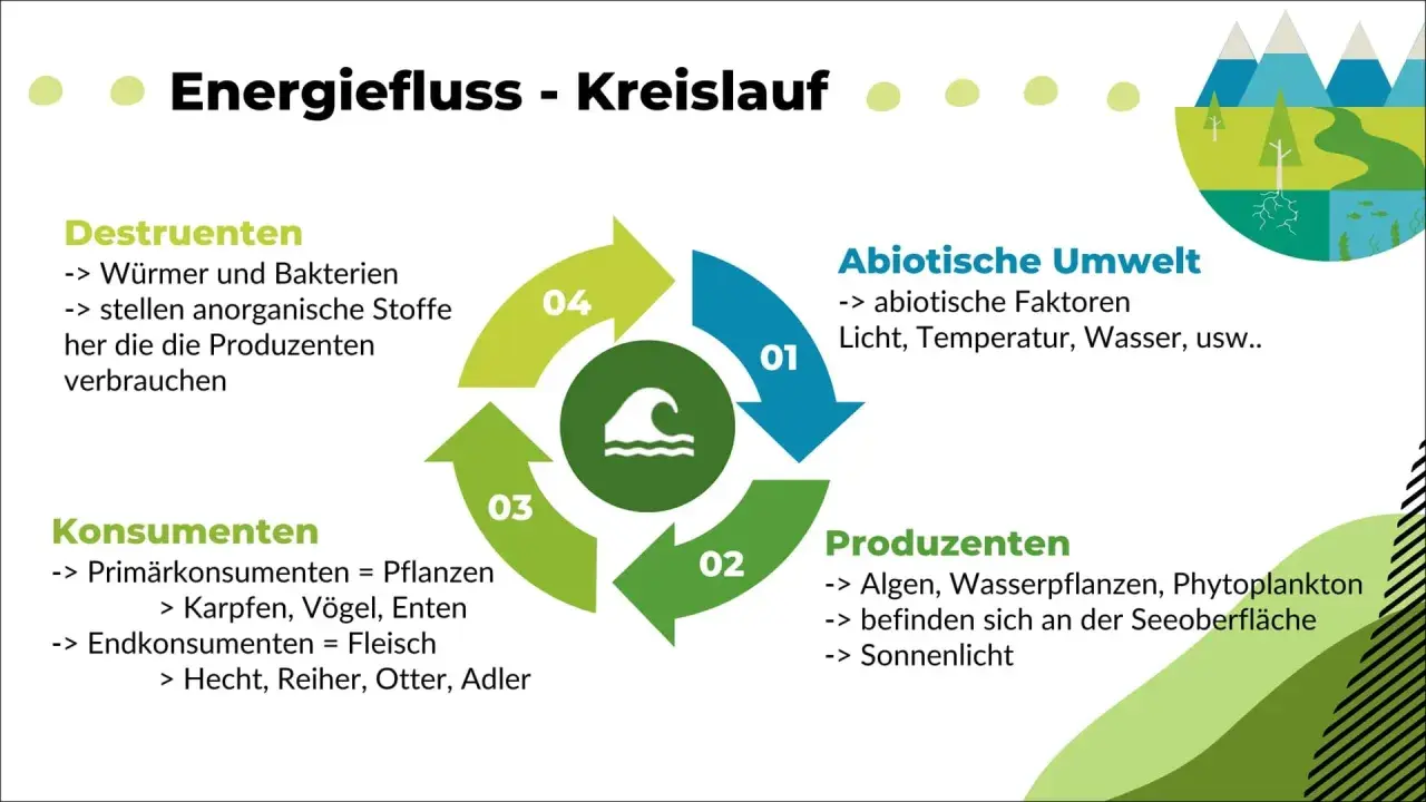 Der Energiefluss im Ökosystem See: Abiotische Faktoren, Produzenten, Konsumenten und Destruenten bilden einen Kreislauf.