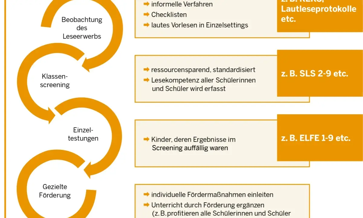 Prozess zur Förderung der Lesekompetenz: Beobachtung, Klassen-Screening, Einzeltestungen und gezielte Förderung.
