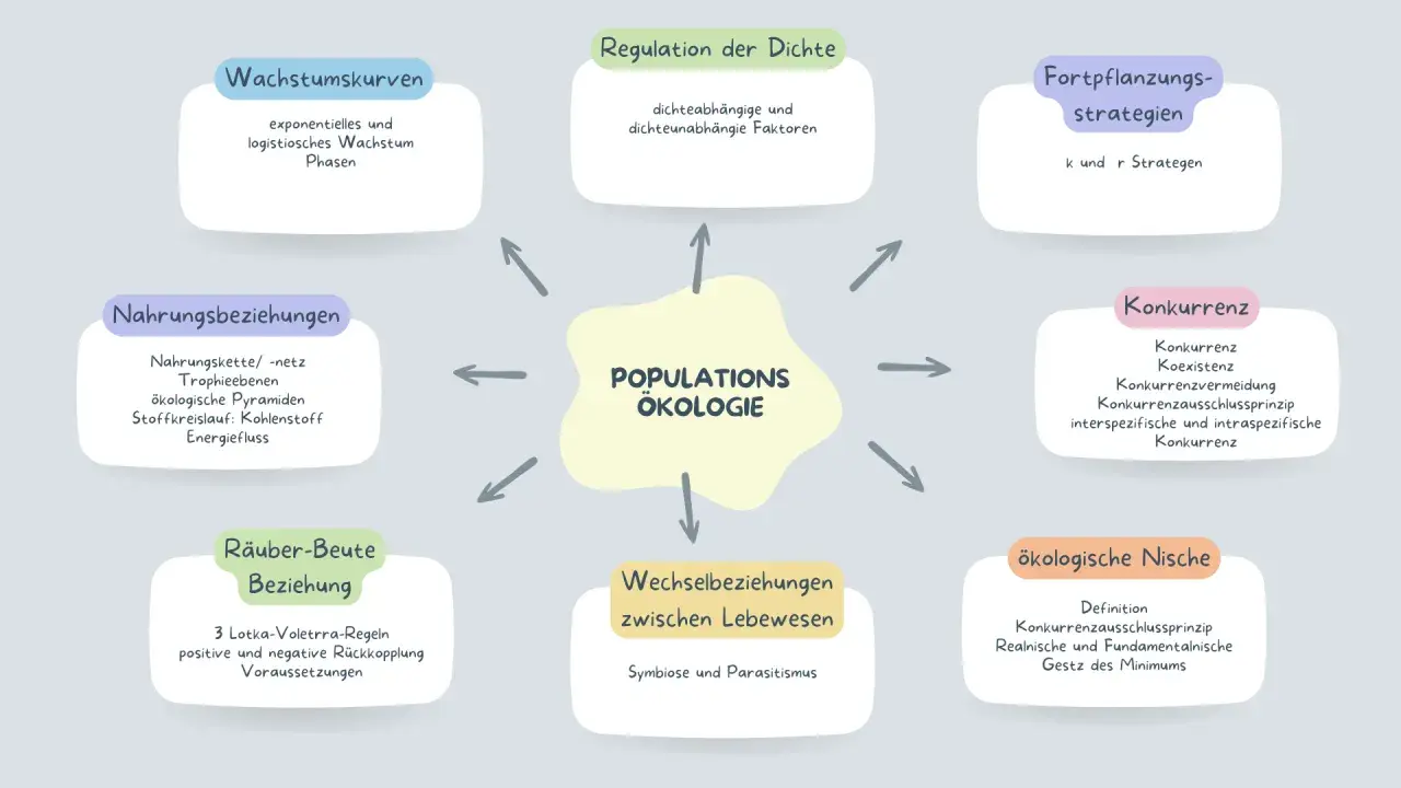 Mindmap zur Populationsökologie: Wachstum, Regulation, Fortpflanzung, Konkurrenz, Räuber-Beute-Beziehungen, Stoffkreislauf, Nischen.