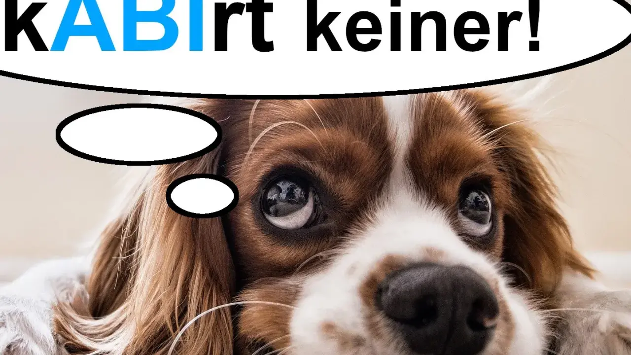 Ein süßer Hund denkt: "kABlrt keiner!" – vielleicht eine lustige Idee für Sprüche zum Abitur Motivation.