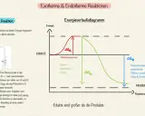 Energieverlaufsdiagramm einer exothermen Reaktion: Edukte haben mehr Energie als Produkte, die Aktivierungsenergie wird überwunden.