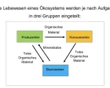 Schema zeigt, was sind Destruenten: Sie zersetzen totes organisches Material und liefern Mineralsalze für Produzenten. Konsumenten fressen Produzenten.
