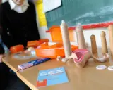 Modelle für Sexualkunde Klasse 6: Anatomie, Kondome und Aufklärungsmaterialien auf einem Tisch.