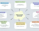 Mindmap zur Populationsökologie: Wachstum, Regulation, Fortpflanzung, Konkurrenz, Räuber-Beute-Beziehungen, Stoffkreislauf, Nischen.