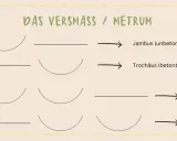 Schema zum metrum bestimmen: Zweisilbrig (Jambus, Trochäus) und Dreisilbrig (Anapäst, Daktylus) mit Betonungsmustern.