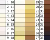 Farbpalette von hell bis dunkel, die die Vielfalt der Hauttöne darstellt, ein Beispiel für polygenie.