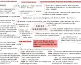 Die Grafik erklärt die Rechtschreibung, z.B. die Wortbedeutung von "wieder" und "wider" und wann man "das" oder "dass" schreibt.