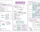 Kohlenhydrate: Monosaccharide wie Glucose und Fructose sind einfache Zucker. Diese Saccharide sind Bausteine für komplexere Kohlenhydrate.
