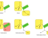 Chemische Strukturen: Aldehyd, Keton, Carbonsäure, Ester und Amid. Die zentrale Carbonylgruppe ist in verschiedenen Molekülen hervorgehoben.