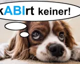 Ein süßer Hund denkt: "kABlrt keiner!" – vielleicht eine lustige Idee für Sprüche zum Abitur Motivation.