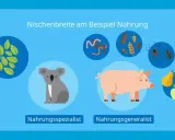 Koala als Nahrungsspezialist (nur Blätter), Schwein als Allesfresser. Illustration zur Nischenbreite und Konkurrenz in der Ökologie.