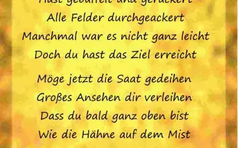 Lustige Sprüche zum Abitur: Humorvolle Zitate für den Abschluss
