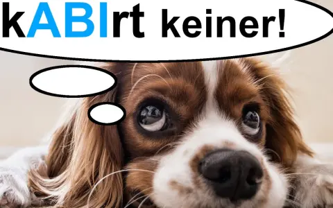 Ein süßer Hund denkt: "kABlrt keiner!" – vielleicht eine lustige Idee für Sprüche zum Abitur Motivation.