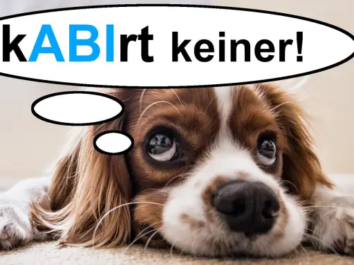 Ein süßer Hund denkt: "kABlrt keiner!" – vielleicht eine lustige Idee für Sprüche zum Abitur Motivation.