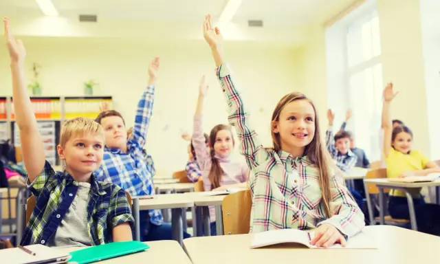 Engagierte Schüler im Unterricht heben eifrig die Hände.