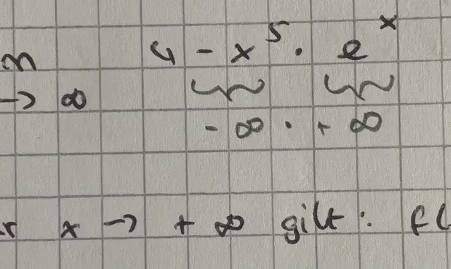 Grenzwertuntersuchung: lim (4-x⁵eˣ) für x→∞ ergibt -∞. Das globale Verhalten der Funktion ist also negativ unendlich.
