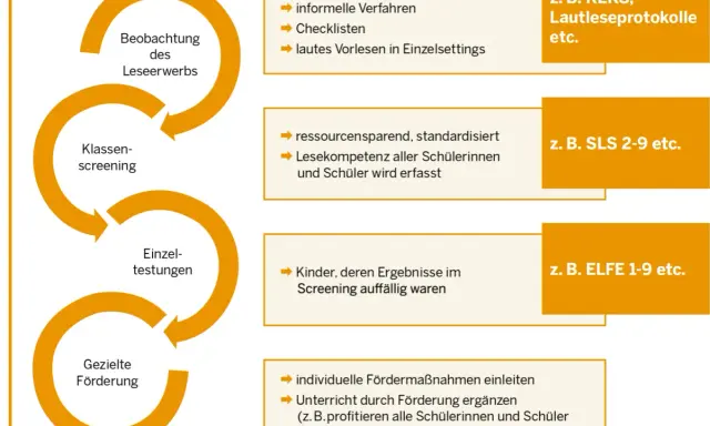 Prozess zur Förderung der Lesekompetenz: Beobachtung, Klassen-Screening, Einzeltestungen und gezielte Förderung.