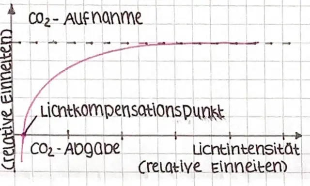 Diagramm zeigt die Abhängigkeit der Fotosynthese von außenfaktoren: CO₂-Aufnahme steigt mit Lichtintensität bis zum Sättigungspunkt.