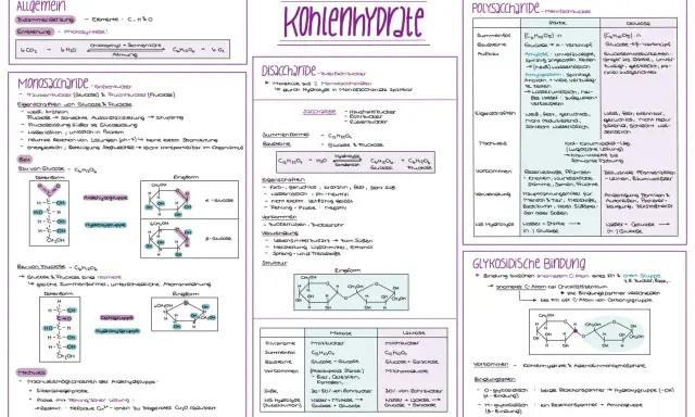 Kohlenhydrate: Monosaccharide wie Glucose und Fructose sind einfache Zucker. Diese Saccharide sind Bausteine für komplexere Kohlenhydrate.