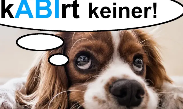 Ein süßer Hund denkt: "kABlrt keiner!" – vielleicht eine lustige Idee für Sprüche zum Abitur Motivation.