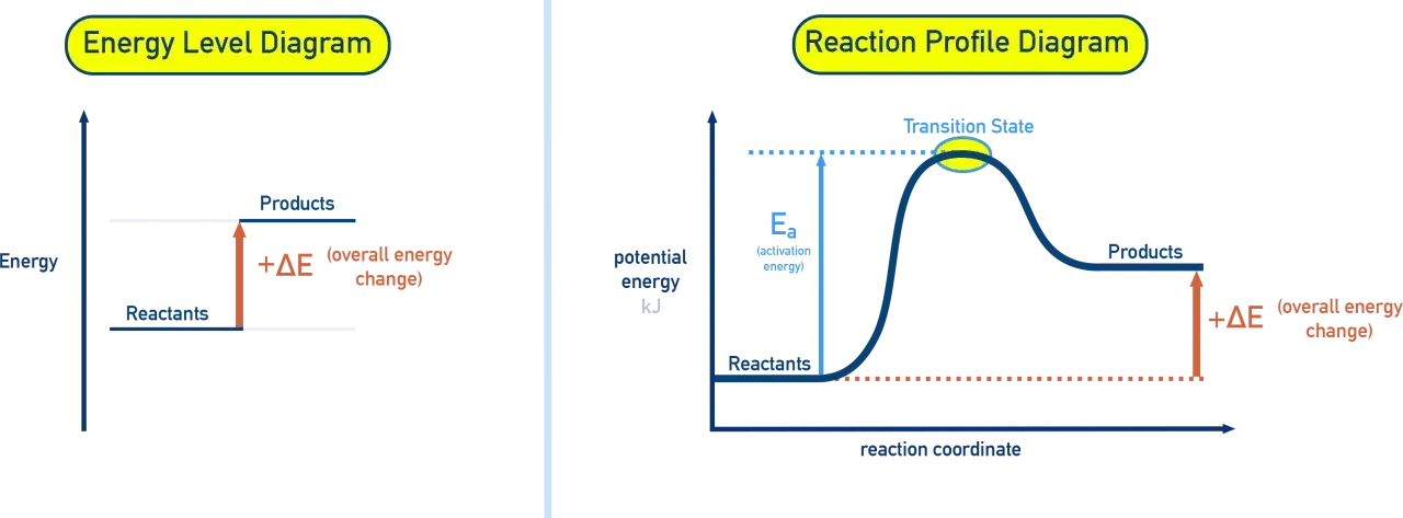 Energielevel-Diagramm und Reaktionsprofil-Diagramm zeigen eine endotherme Reaktion, bei der die Produkte mehr Energie als die Reaktanten haben.