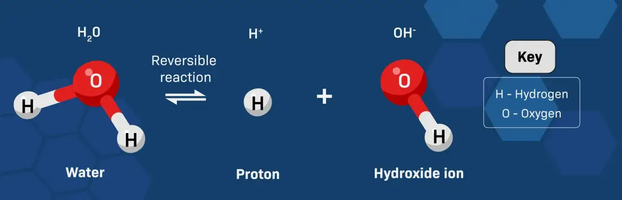 Die Autoprotolyse von Wasser: H₂O zerfällt reversibel in ein Proton (H⁺) und ein Hydroxidion (OH⁻).