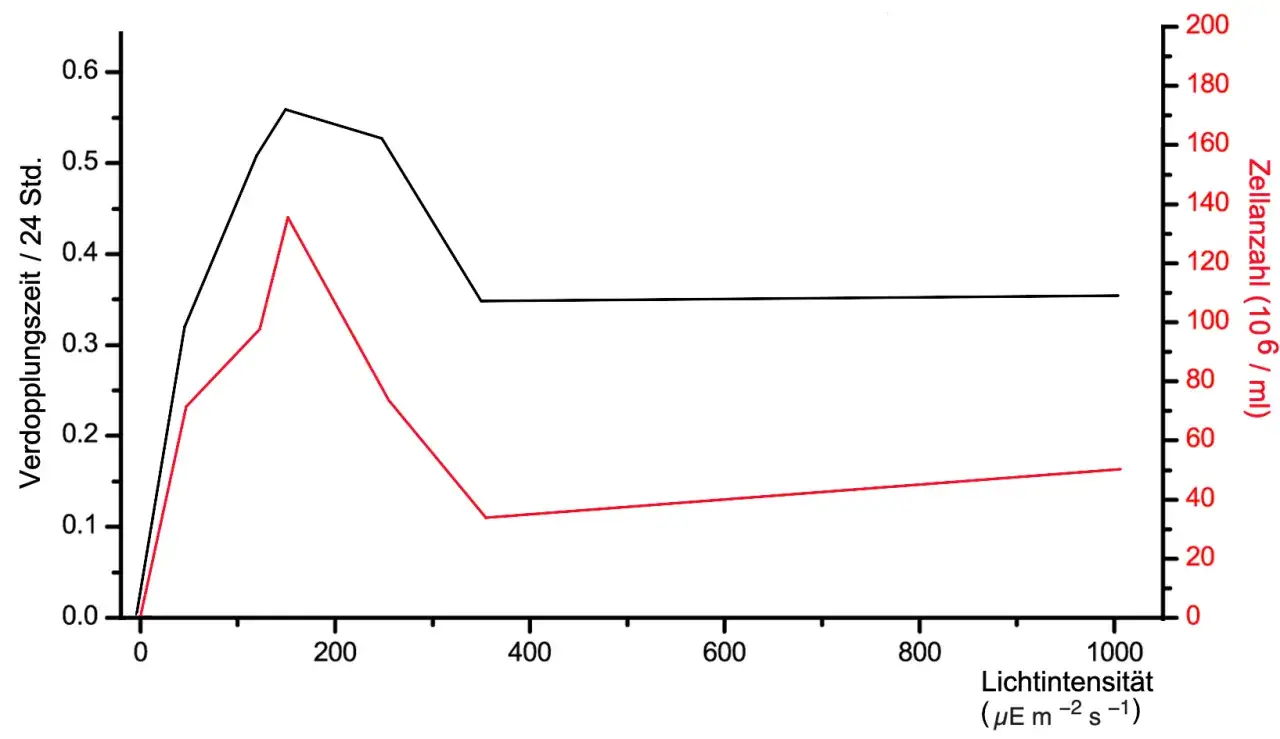 Diagramm zeigt die optimale Kurve für Zellwachstum und Verdopplungszeit bei unterschiedlicher Lichtintensität.
