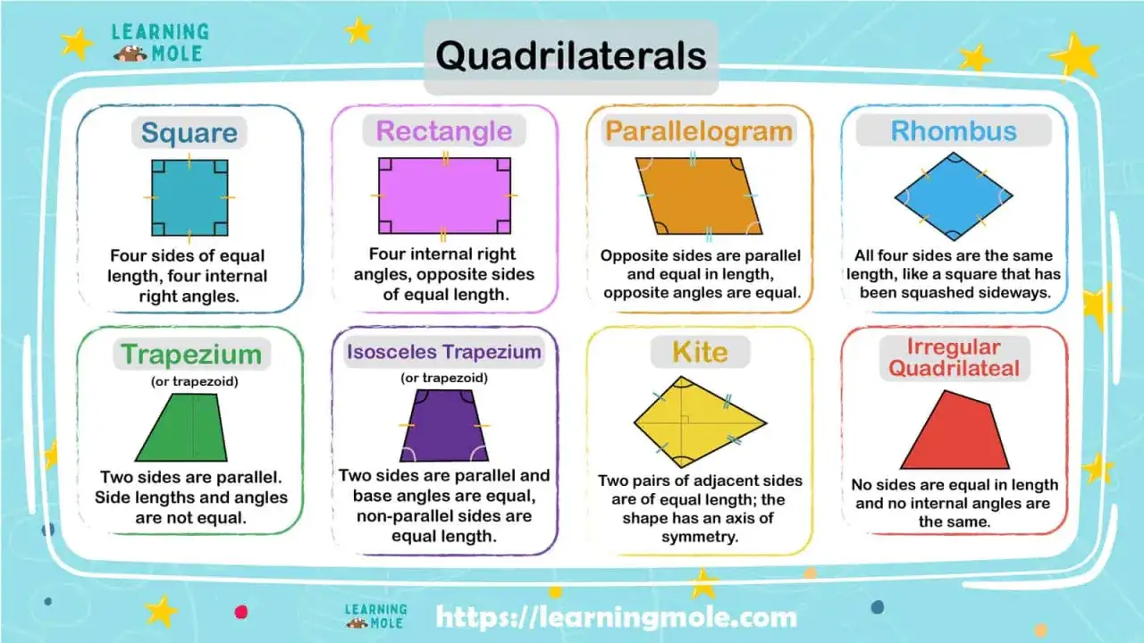 Verschiedene geometrische Formen wie Quadrate, Rechtecke, Parallelogramme, Rauten, Trapeze, Drachen und unregelmäßige Vierecke werden mit ihren Eigenschaften erklärt.