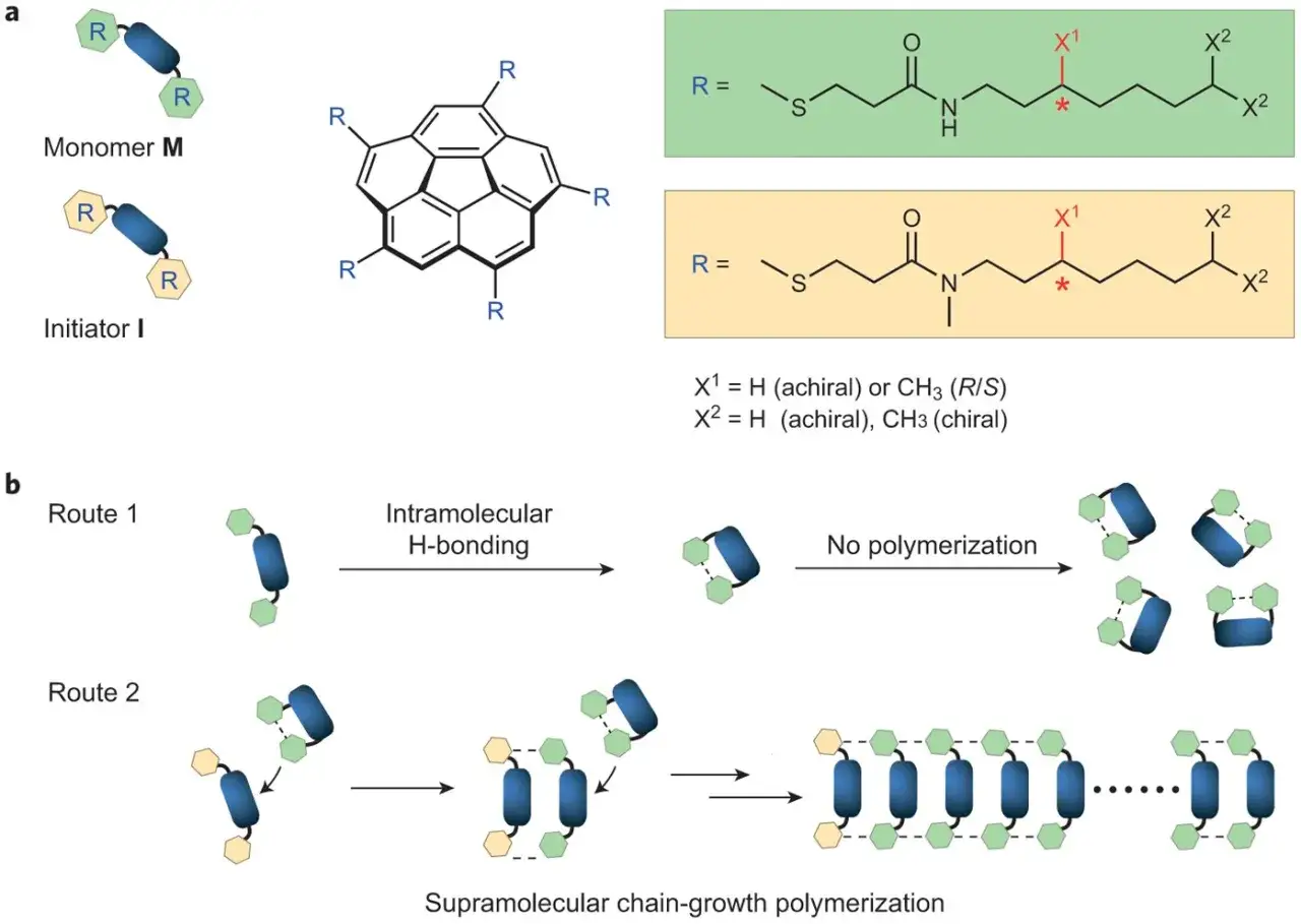 Schema zeigt zwei Routen der Polymerisation: Route 1 mit intramolekularen H-Bindungen führt zu keiner Polymerisation, Route 2 zu supramolekularer Kettenwachstumspolymerisation.