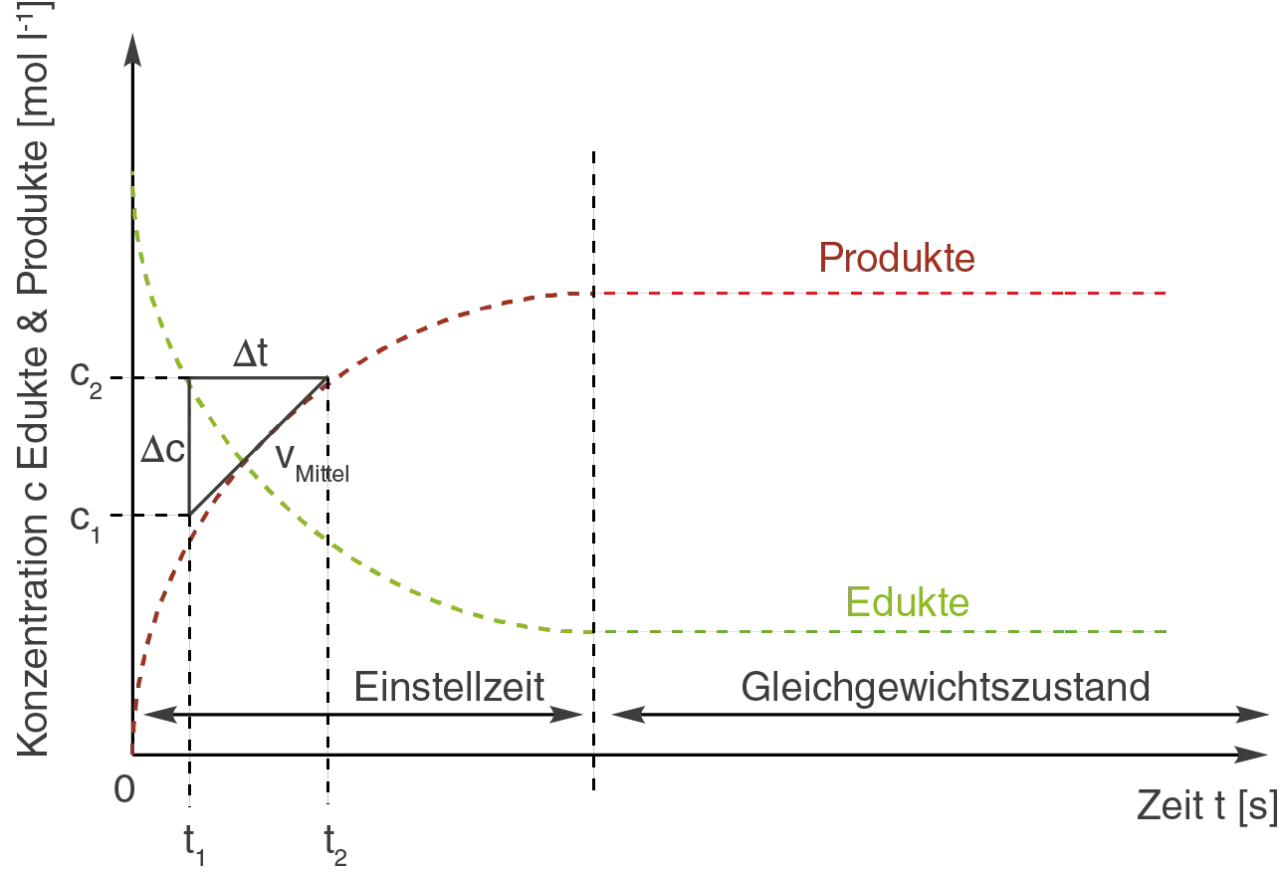 Diagramm zeigt Konzentrationsänderung von Edukten und Produkten über die Zeit. Nach der Einstellzeit wird das chemische Gleichgewicht erreicht.