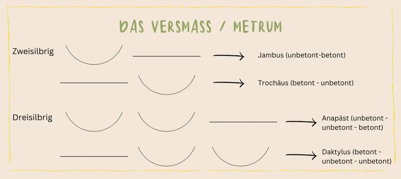 Schema zum metrum bestimmen: Zweisilbrig (Jambus, Trochäus) und Dreisilbrig (Anapäst, Daktylus) mit Betonungsmustern.