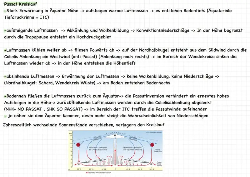 Schema des Passatkreislaufs, erklärt im Erdkunde Unterricht. Zeigt aufsteigende und absinkende Luftmassen, ITC und Passatinversion.